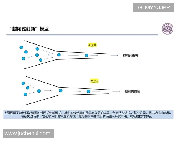 《基于规则制定的创新管理模式及其在企业发展的应用研究》
