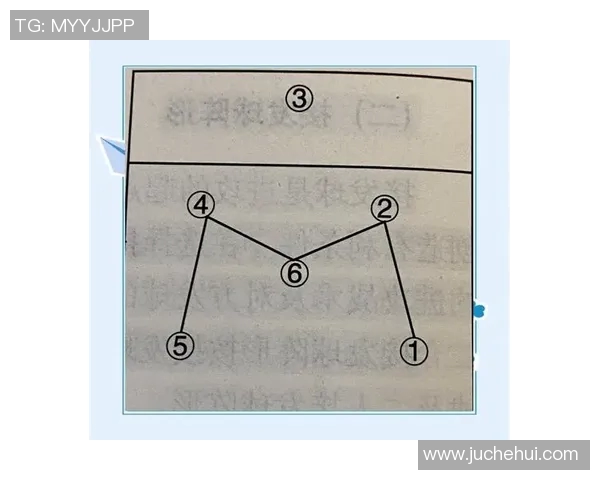 从零起步掌握排球技巧与战术全解析助你成为排球高手